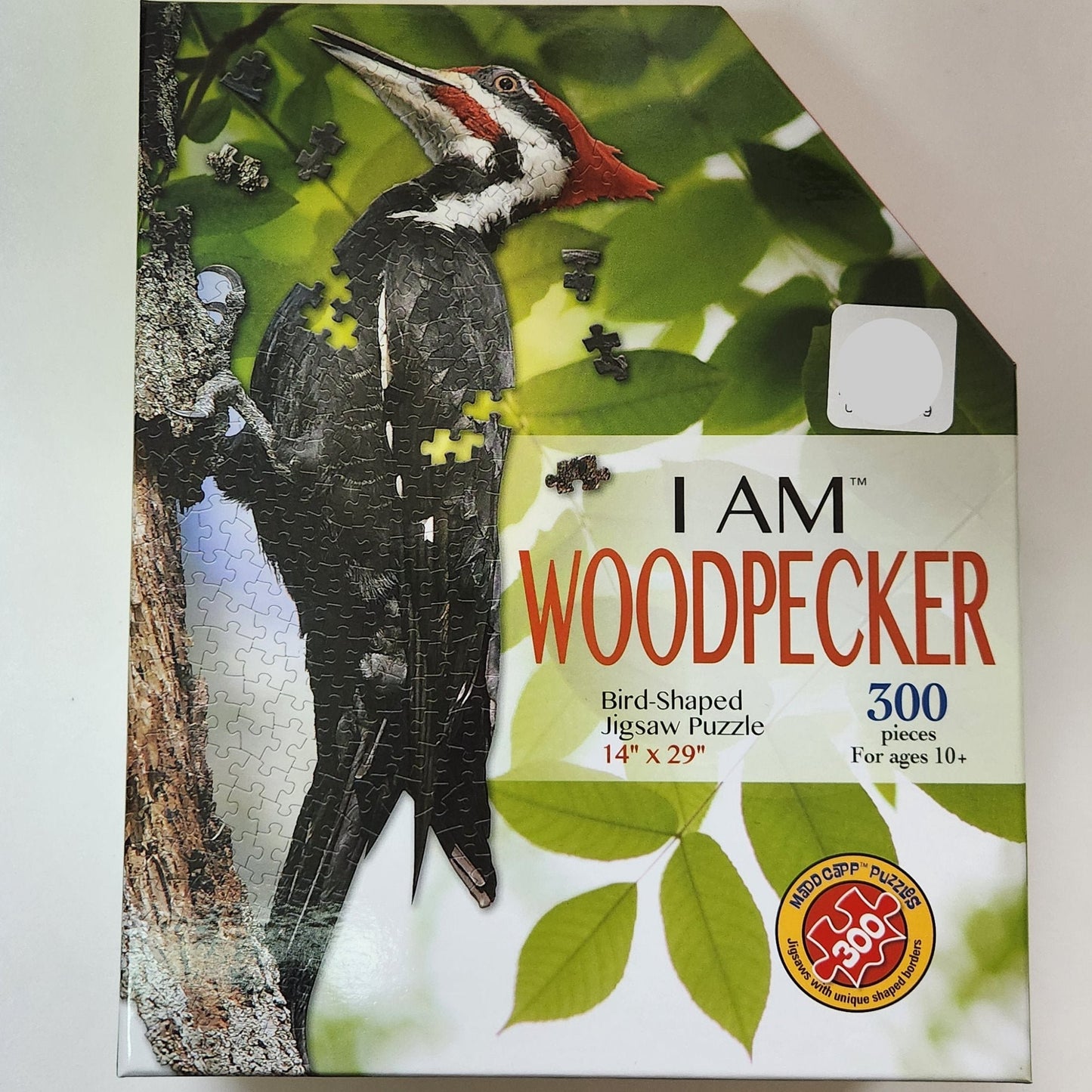 Box with Pileated Woodpecker