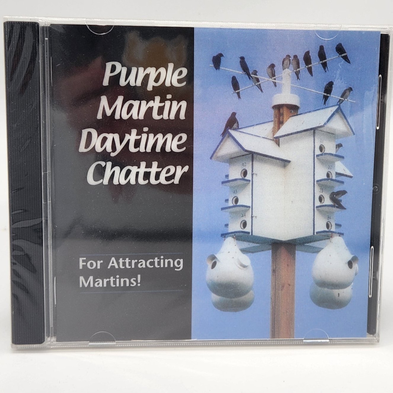 Purple Martin Daytime Chatter CD cover