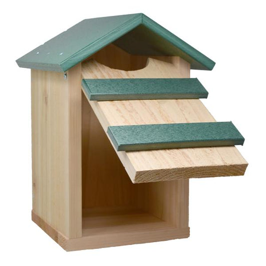 SE519 Screech Owl/Kestrel House
