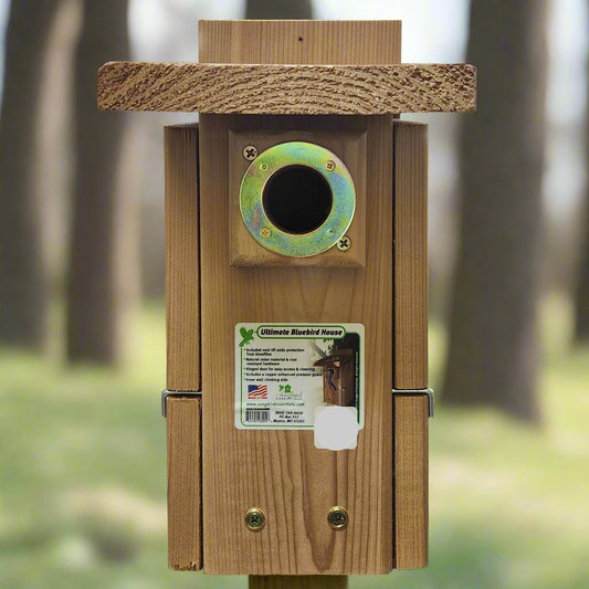 Wooden bird house with brass portal ring