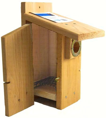 Wood nest box with side door open