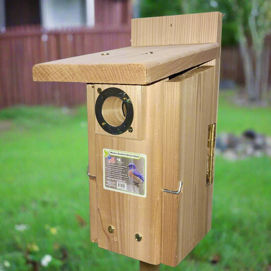 Wooden bird house with brass portal ring