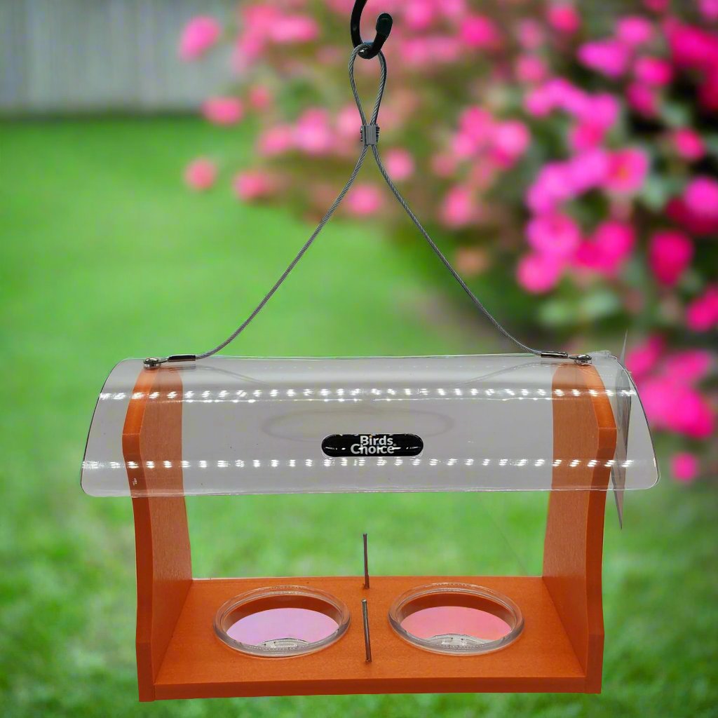 Orange colored feeder with clear hood and two cups, wire hanger