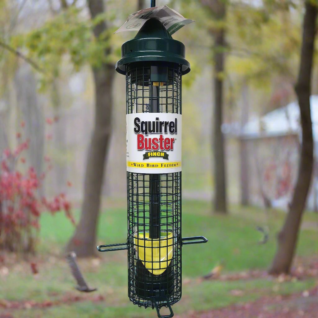 Green cage bird feeder with Squirrel Buster on label