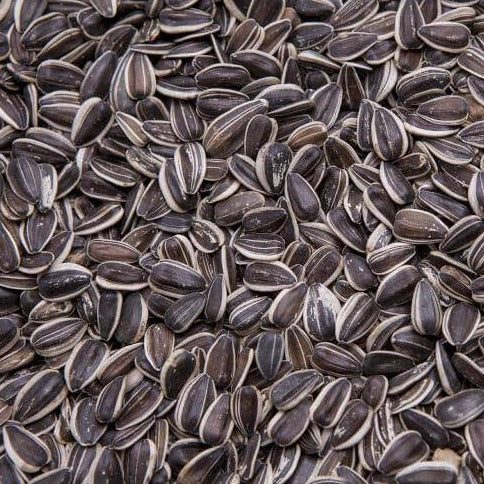 Black and white stripe sunflower seeds