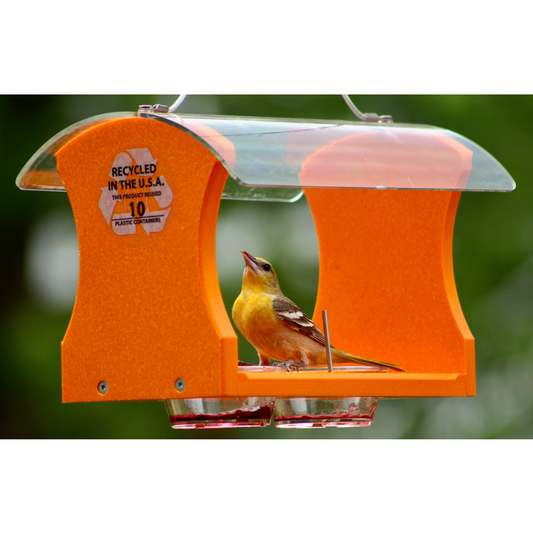 Orange feeder with clear roof and two jelly cups with female oriole
