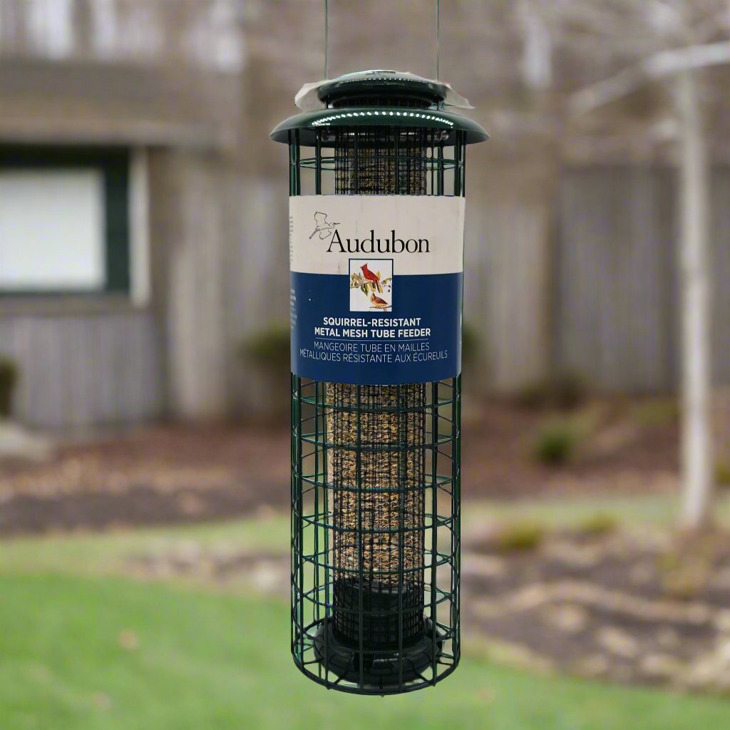 Audubon green caged mesh feeder