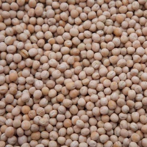 White Proso Millet