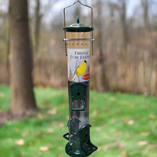 clear tube with green lid, base and perches