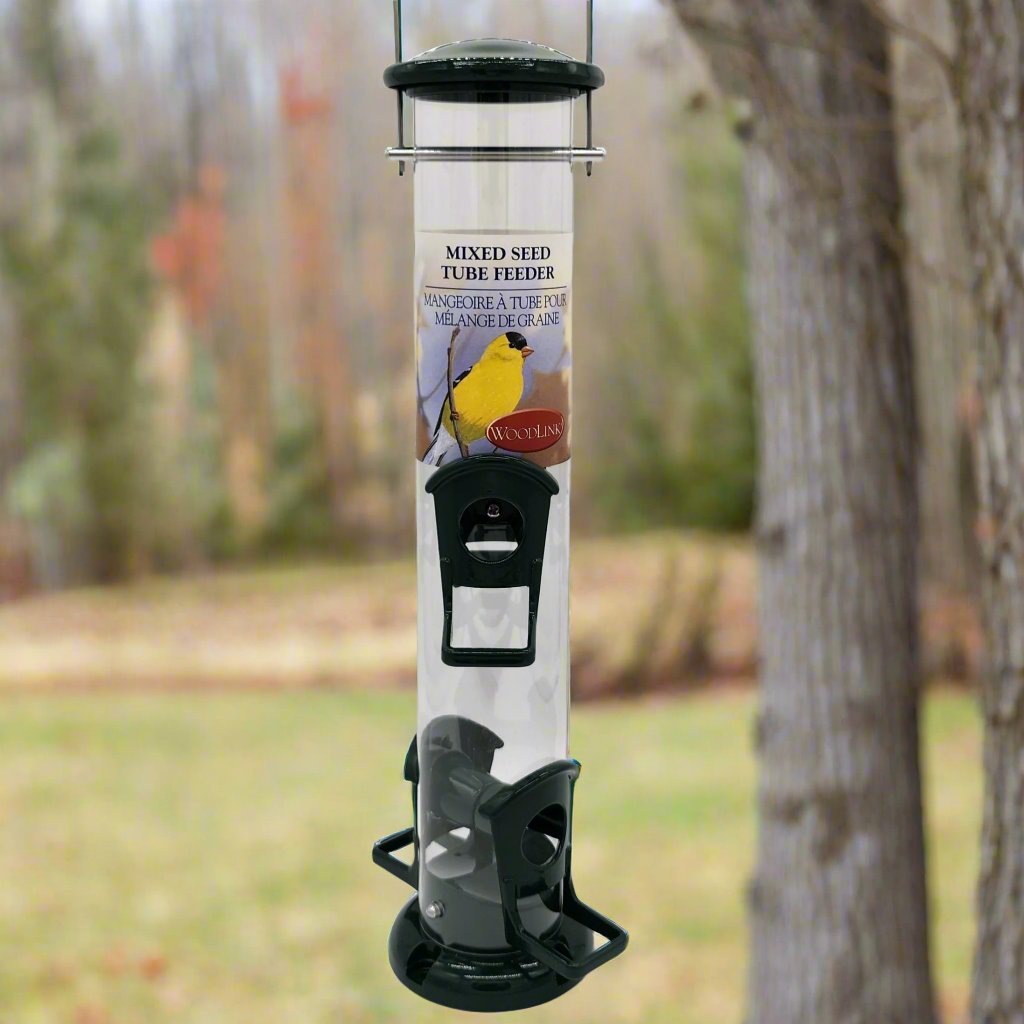 4 Port Seed Feeder with green metal top, perches and base