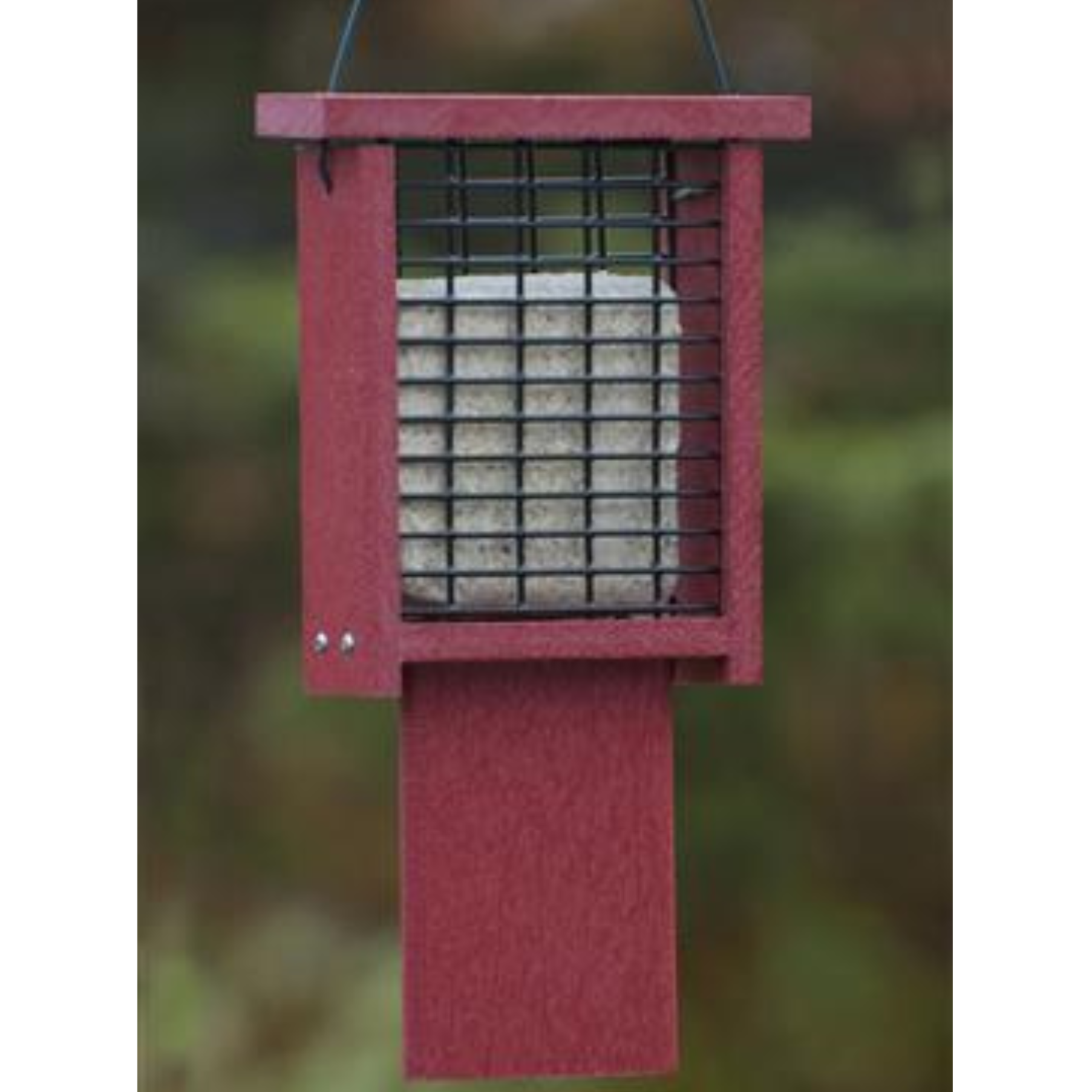 red tail prop suet feeder with cake