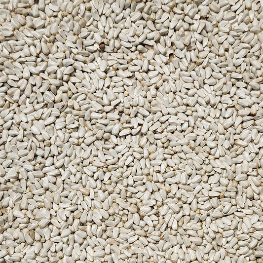 white safflower seeds