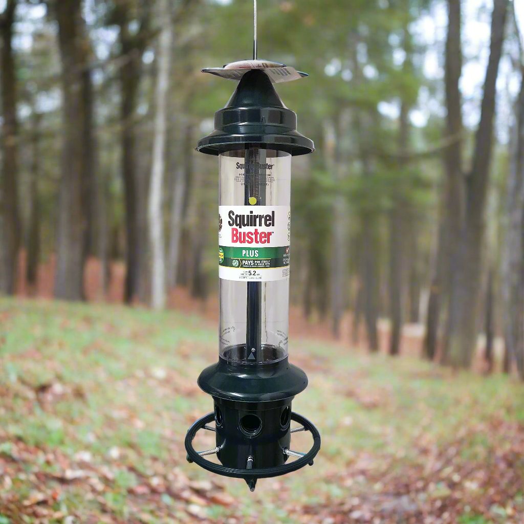 Squirrel Buster® Plus BD1024 – Backyard Bird Center