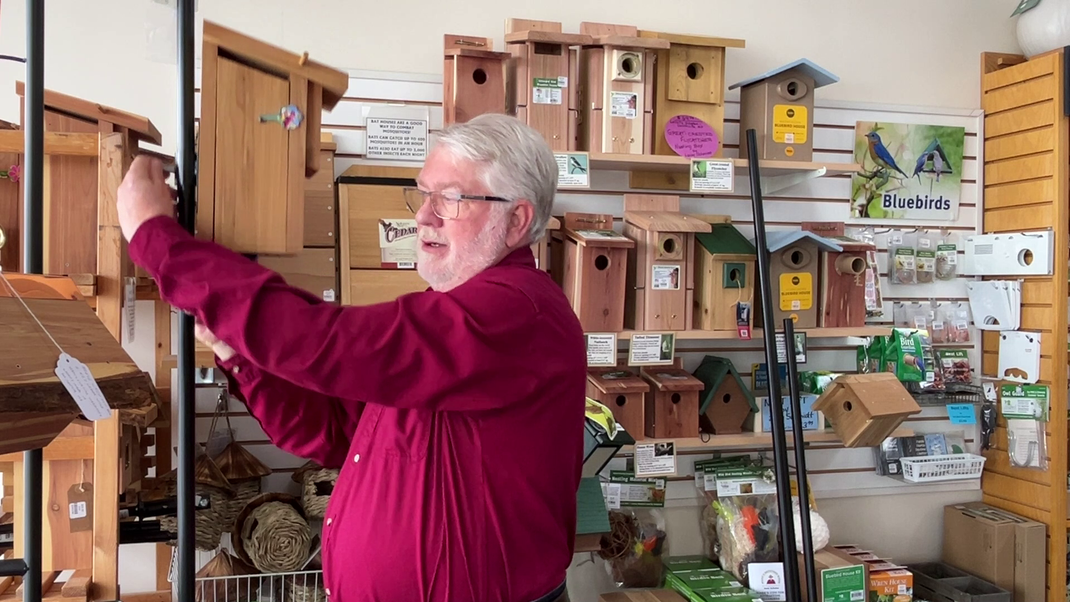 Mark's Backyard Birds – Backyard Bird Center