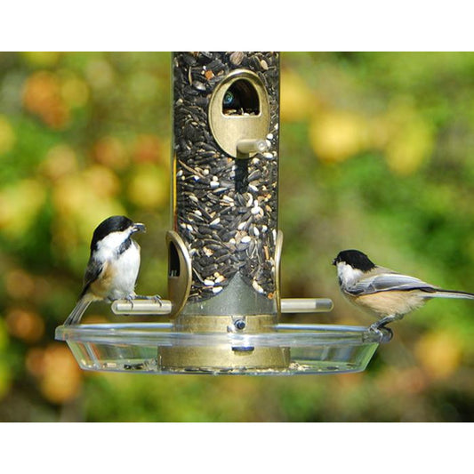 Round Seed Tray with Chickadees