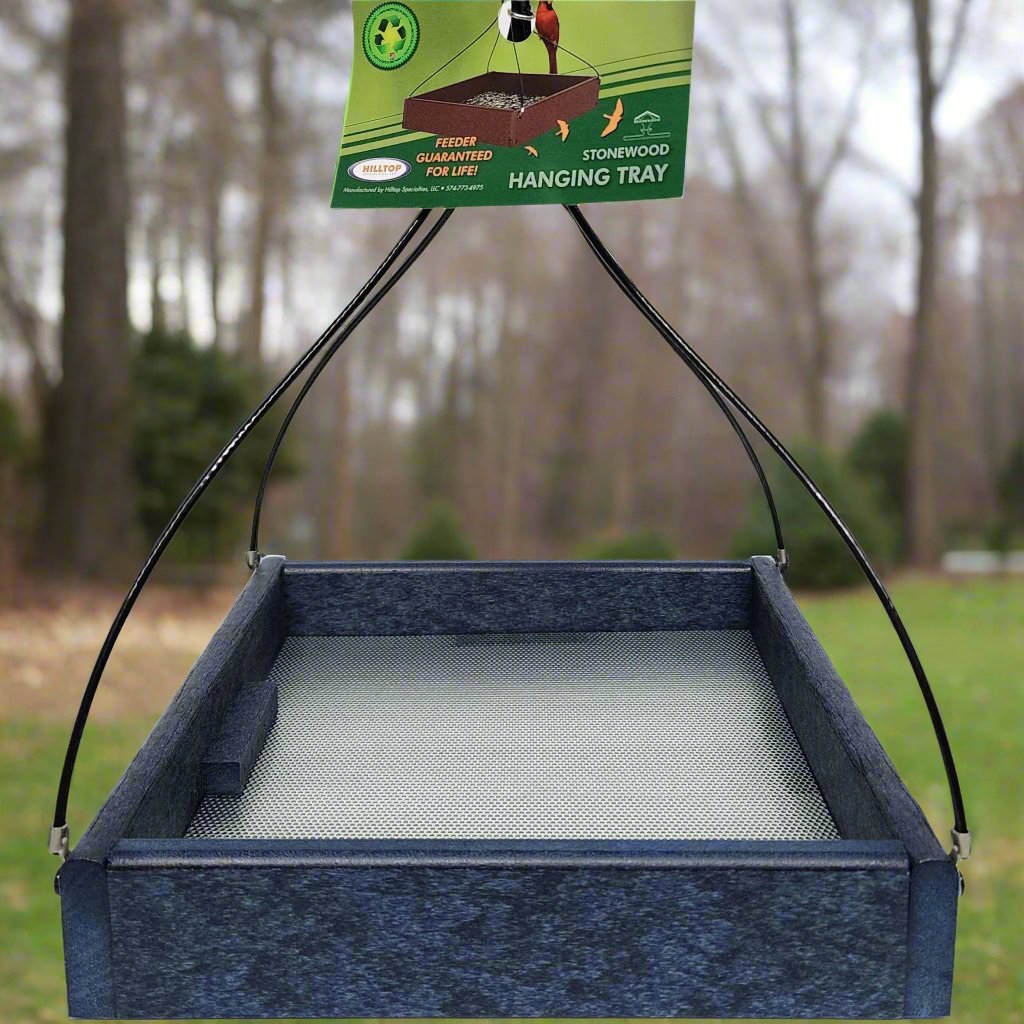 Blue square tray feeder with silver mesh bottom and black hanging cables