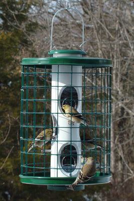White PVC multi-seed feeder with metal green roof, tray and cage