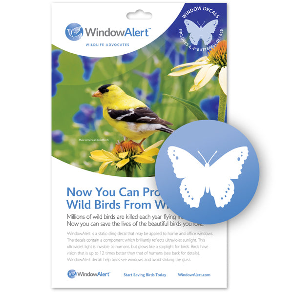 Butterfly UV sticker pack with goldfinch