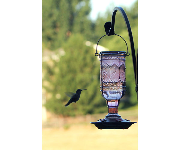 More Birds® Jewel Hummingbird Feeder
