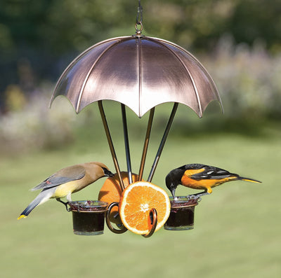Brushed Copper Oriole Feeder with male and female orioles