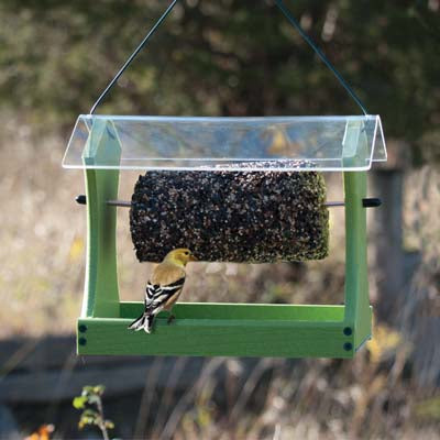 Green GGCAKE feeder with seed cylinder and American Goldfinch