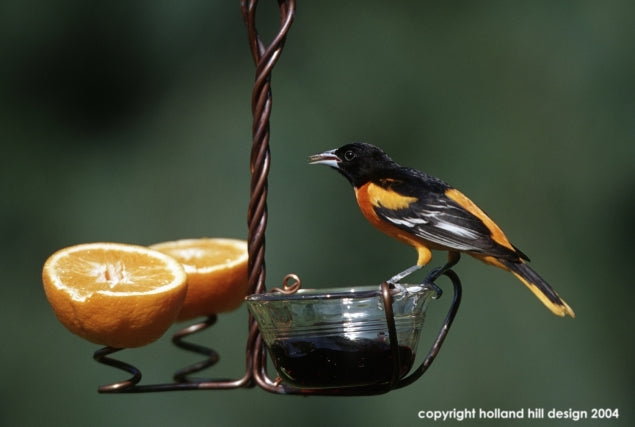 Copper wire Fruit and Jelly Feeder with male Baltimore Oriole