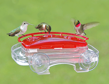Aspect hummingbird window feeder using suction cups. 