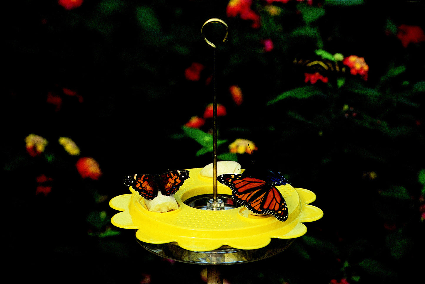 Yellow plastic feeder with two butterflies