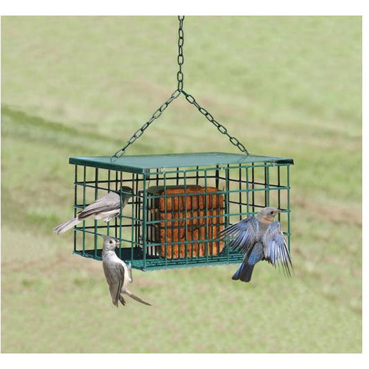 Double suet cage surrounded by a green cage.