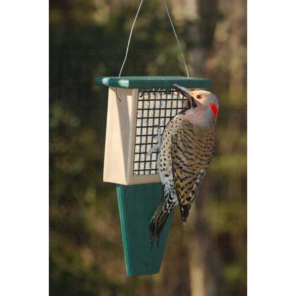 Tail Prop Suet Feeder Green With Woodpecker