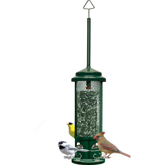 Squirrel Buster® Legacy with a Chickadee, a Cardinal, and a Goldfinch