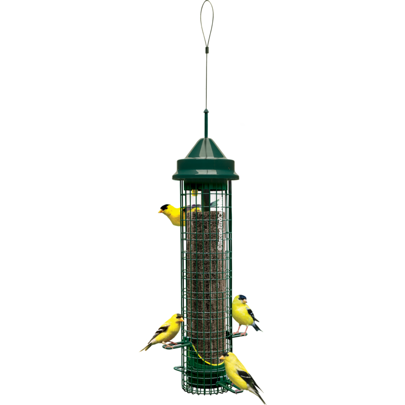 Squirrel Buster® Finch with 4 Goldfinches