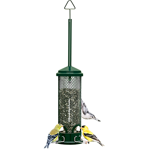 Squirrel Buster® Mini with two Goldfinches and a Nuthatch
