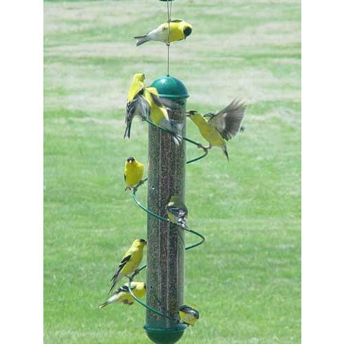 17" Spiral Finch Feeder with 9 American Goldfinches