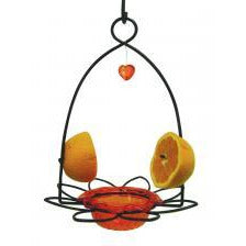 Birds Choice - Black Wire Feeder With Orange Bowl for Orioles 